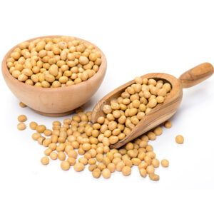 Soya Bean Raw