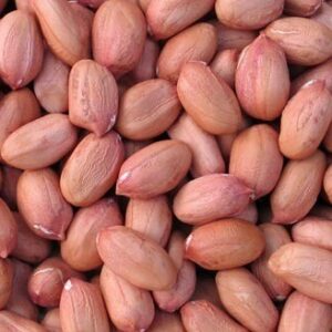 GROUNDNUTS